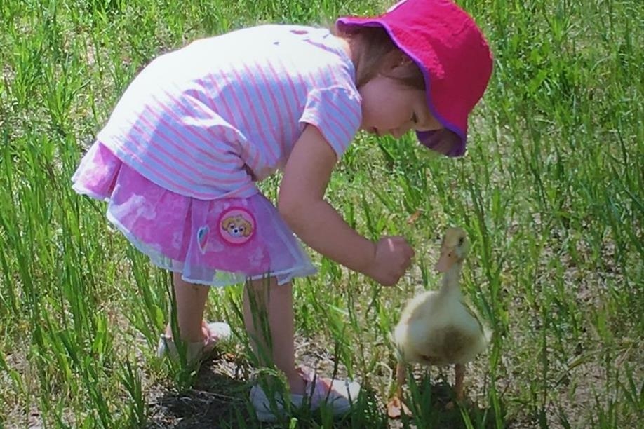 Good Spirit Petting Zoo