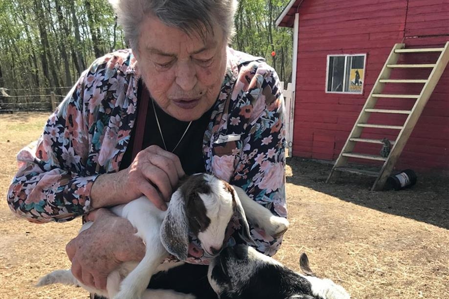 Good Spirit Petting Zoo