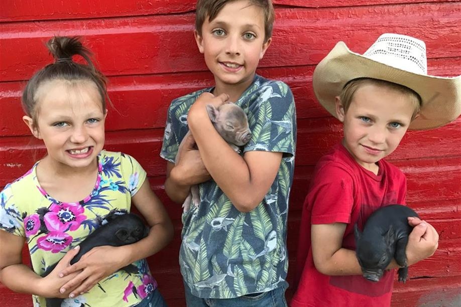 Good Spirit Petting Zoo