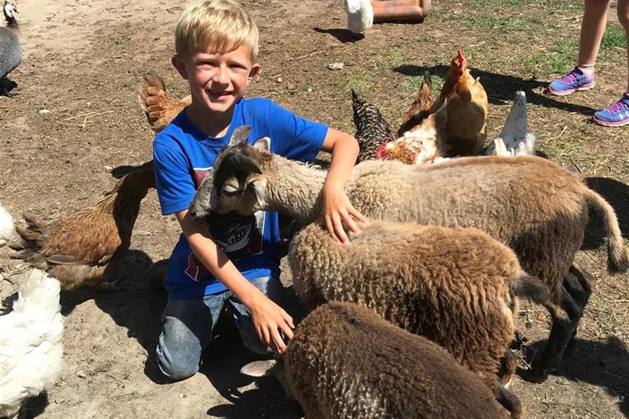 Good Spirit Petting Zoo