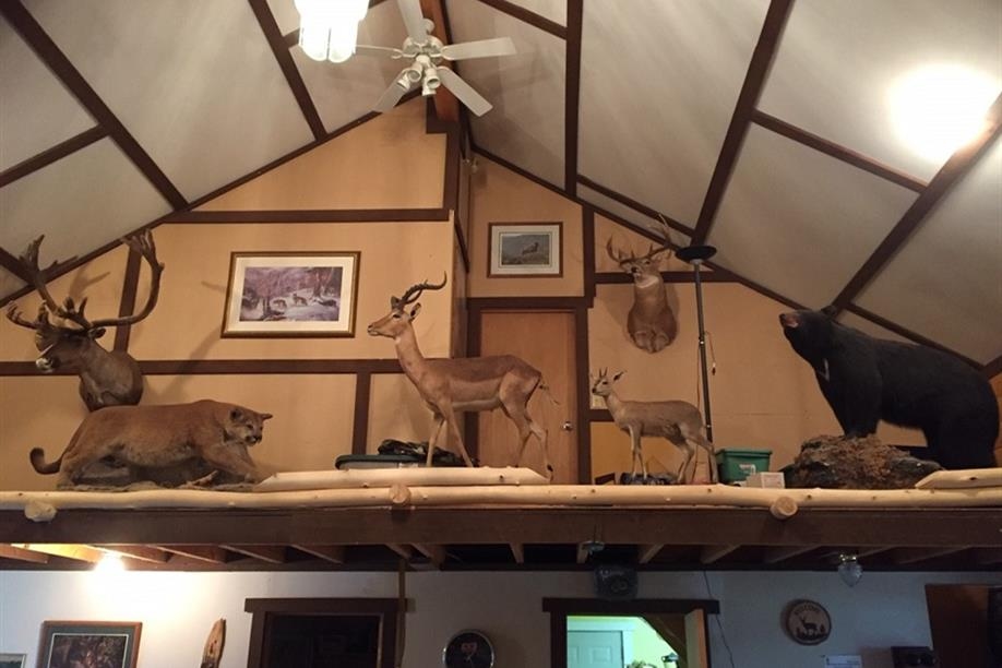 Golden Arrow Outfitters