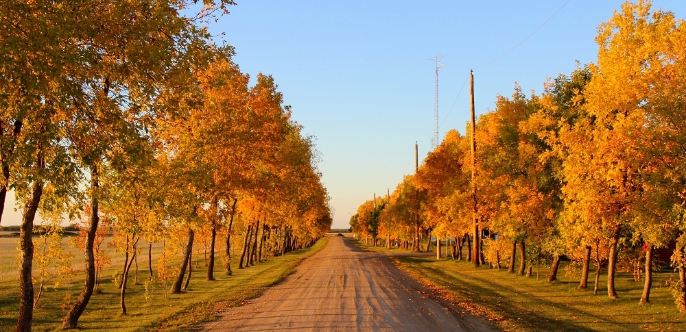 Grenfell - Autumn Scene