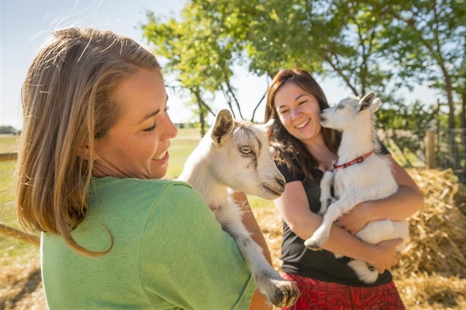 Grotto Gardens Country Market