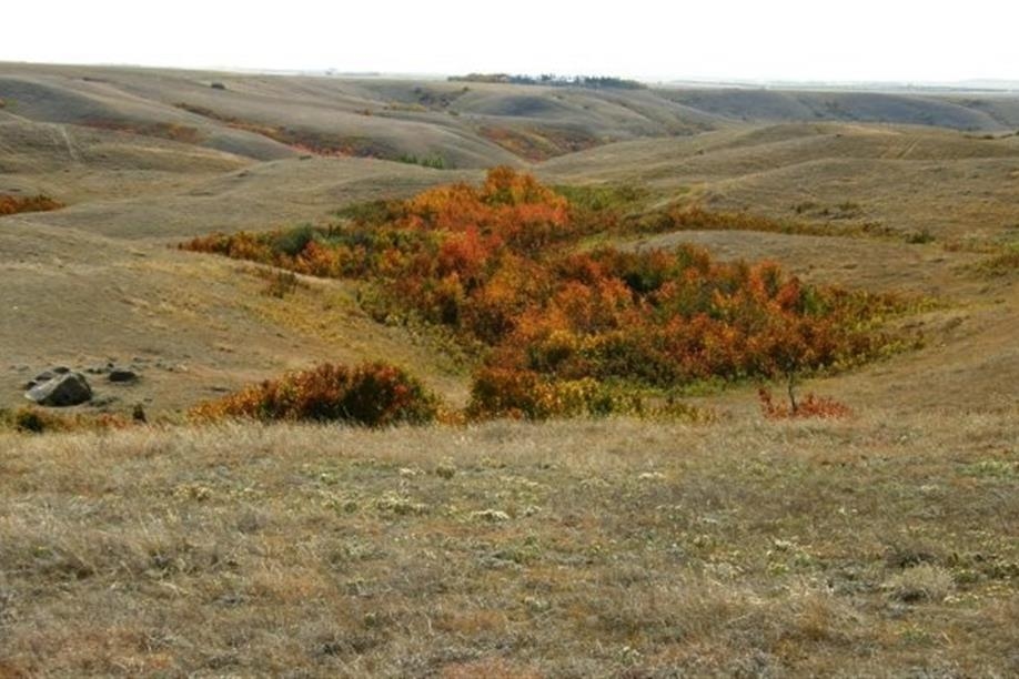 Ancient Echoes Interpretive Centre/Tea Room