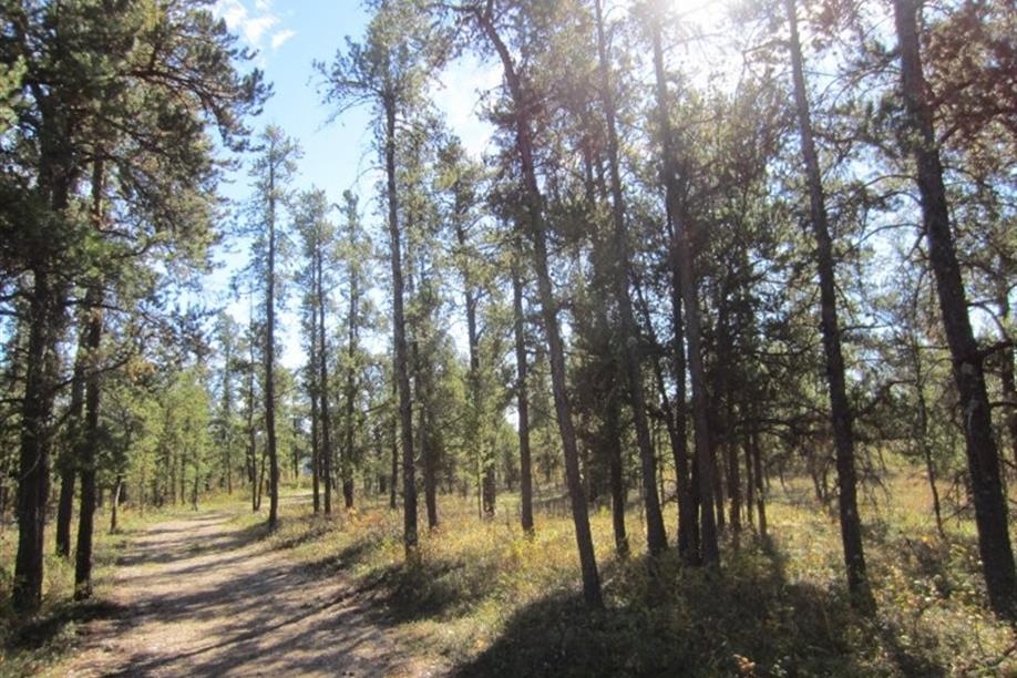 Hudson Bay Trail Network