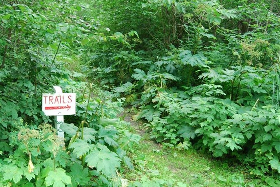 Jean Louis Legare Regional Park