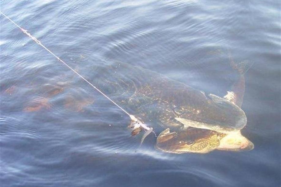 Jim's Camp Ltd - Nistowiak Falls