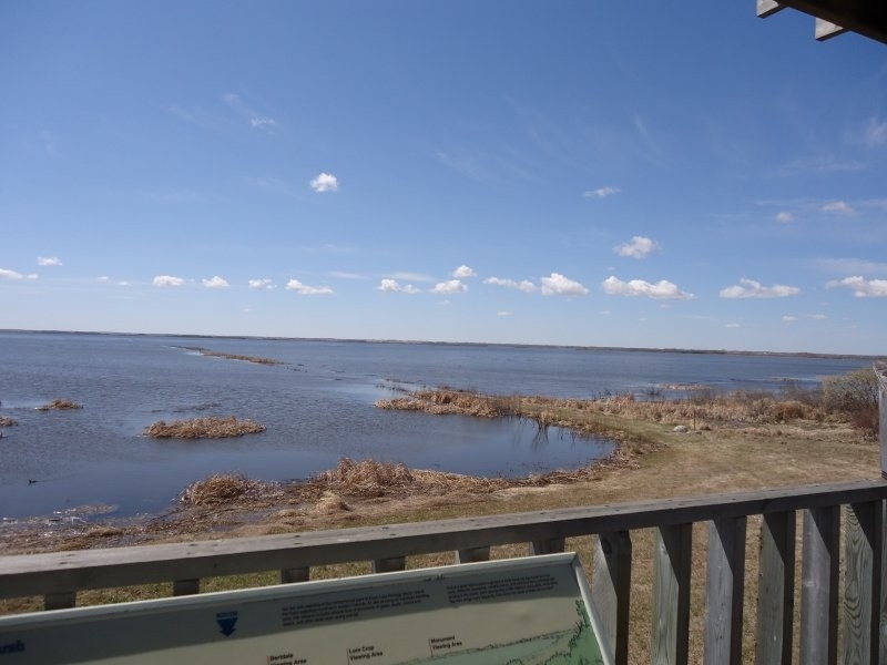 Johnson Site - View from Tower