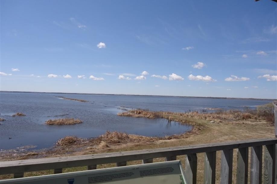 Johnson Site - View from Tower