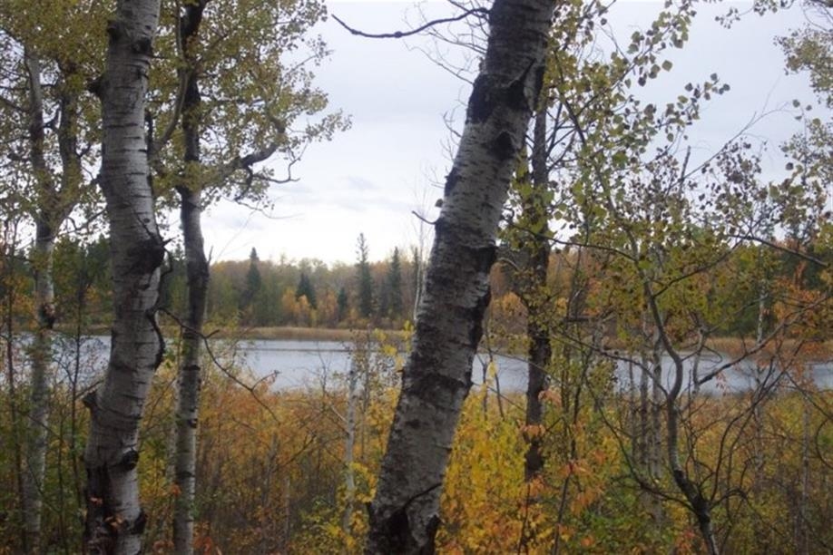 Prince Albert - Kristi Lake Nature Trail