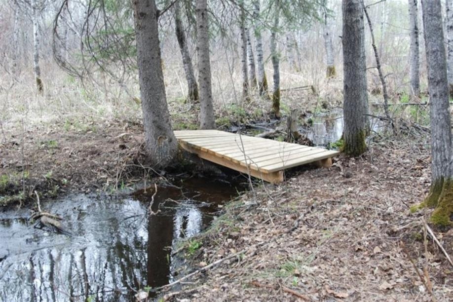 Prince Albert - Kristi Lake Nature Trail