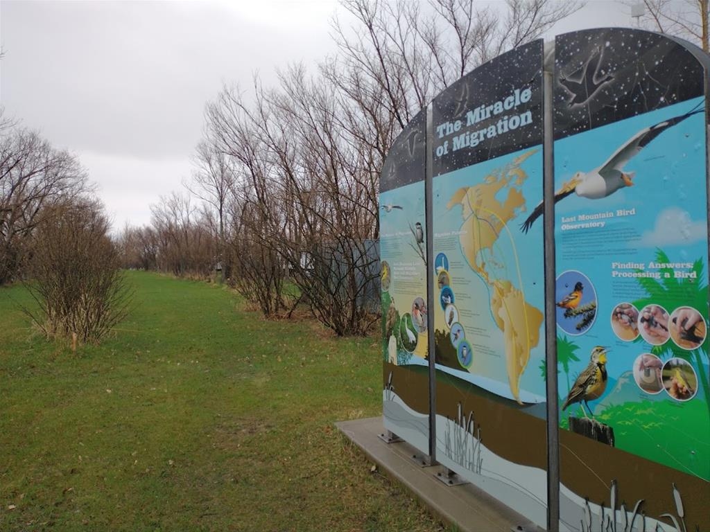 Last Mountain Bird Observatory