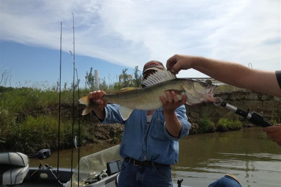 Lake Diefenbaker Fishing Charters