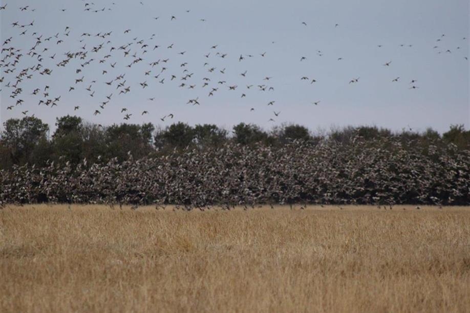 Larson Lake Outfitters