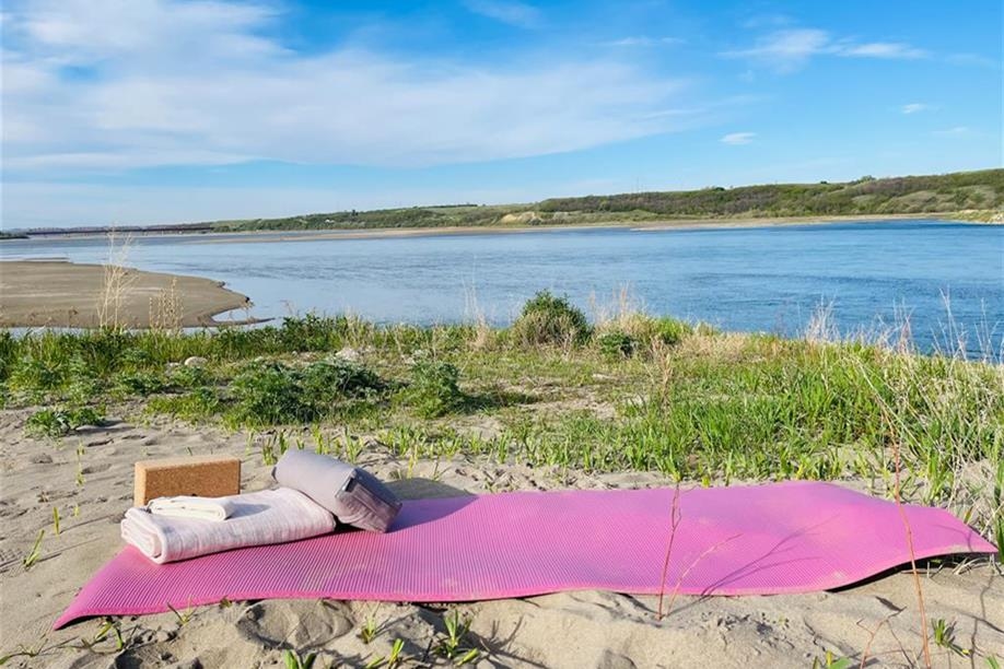 Lotus Revival Yoga