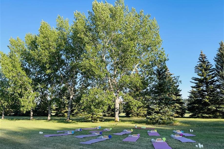 Lotus Revival Yoga