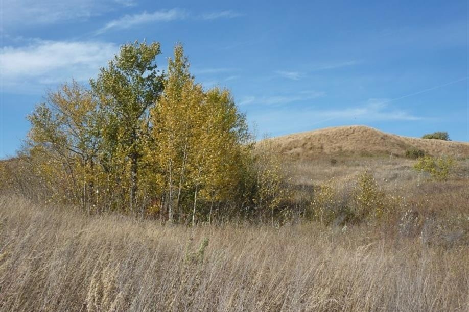 Manitou Beach Trails - Photo: Kathy Rosenkranz