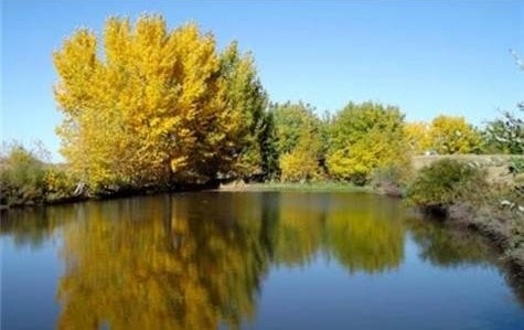 Milden Golf Course