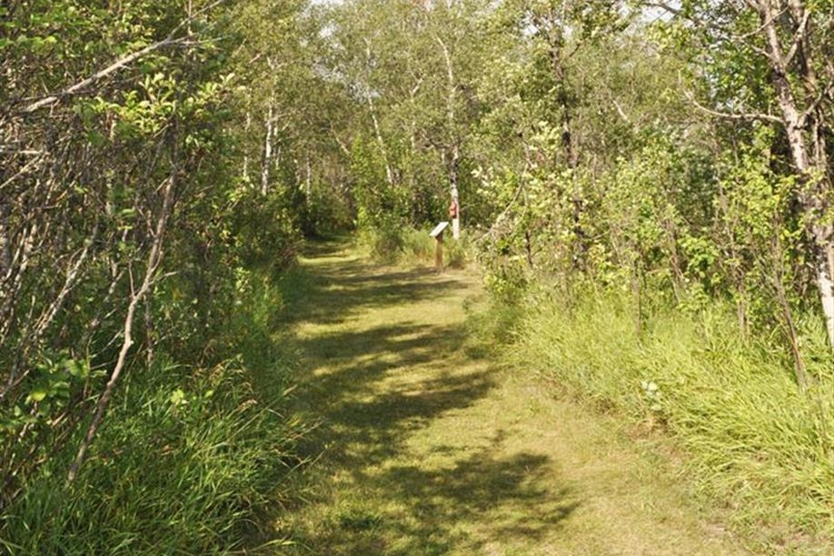 Moosomin & District Regional Park