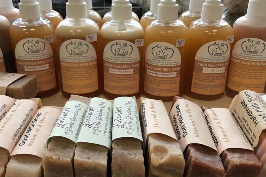 Northern Lights Gallery