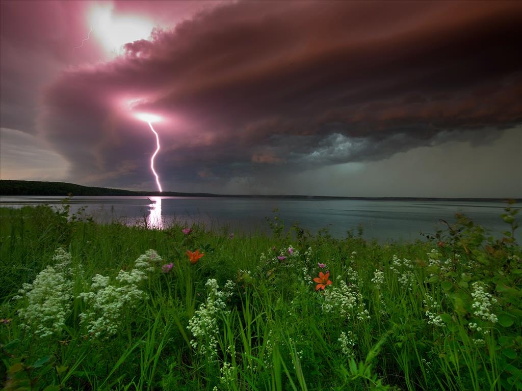 All in the Wild Gallery - Northern Energy