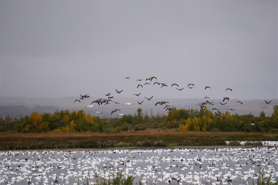 Northern Saskatchewan Wilderness Hunts