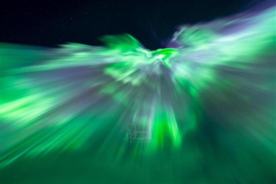 Northern Escape Photography