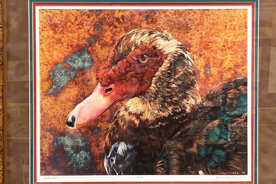 Northern Lights Gallery