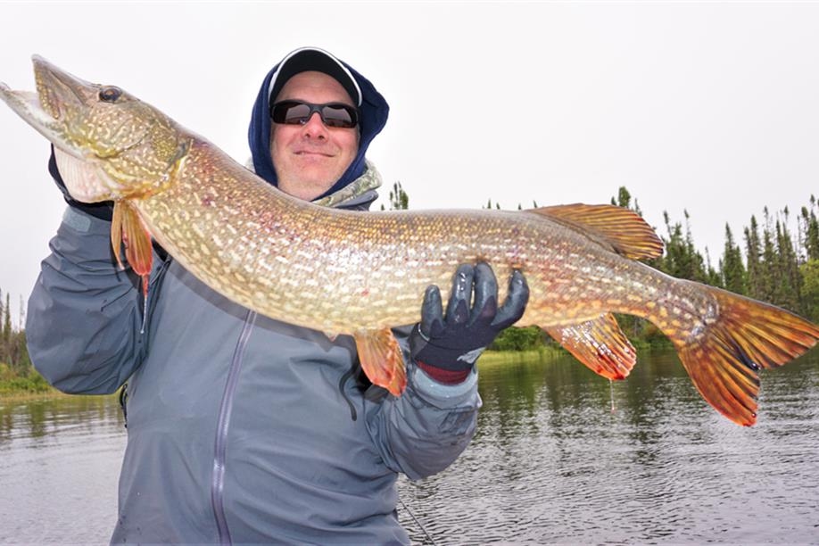 Northern Nights Outfitters