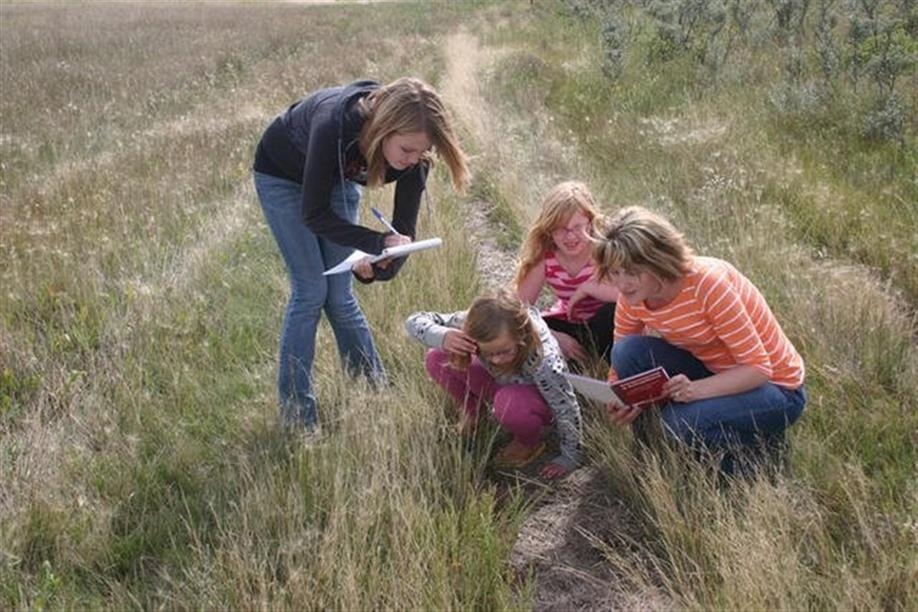 Mossbank - Old Wives Lake Nature Area and Interpretive Trails