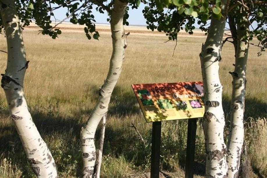 Mossbank - Old Wives Lake Nature Area and Interpretive Trails