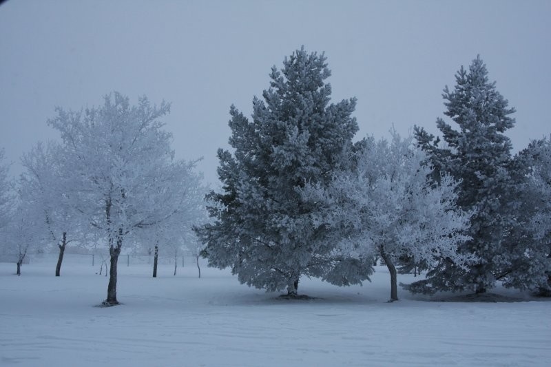 White City - Winter - Optomist Park
