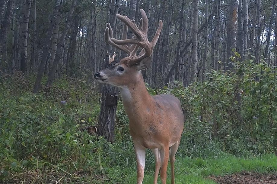 Otter Creek Outfitters