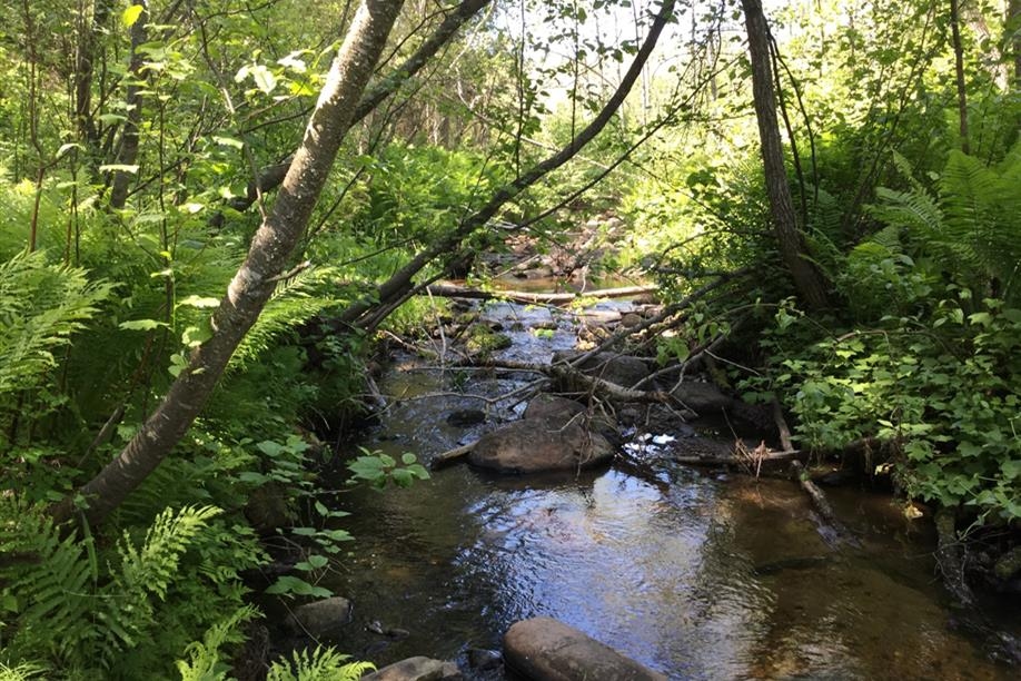 Otter Creek Outfitters