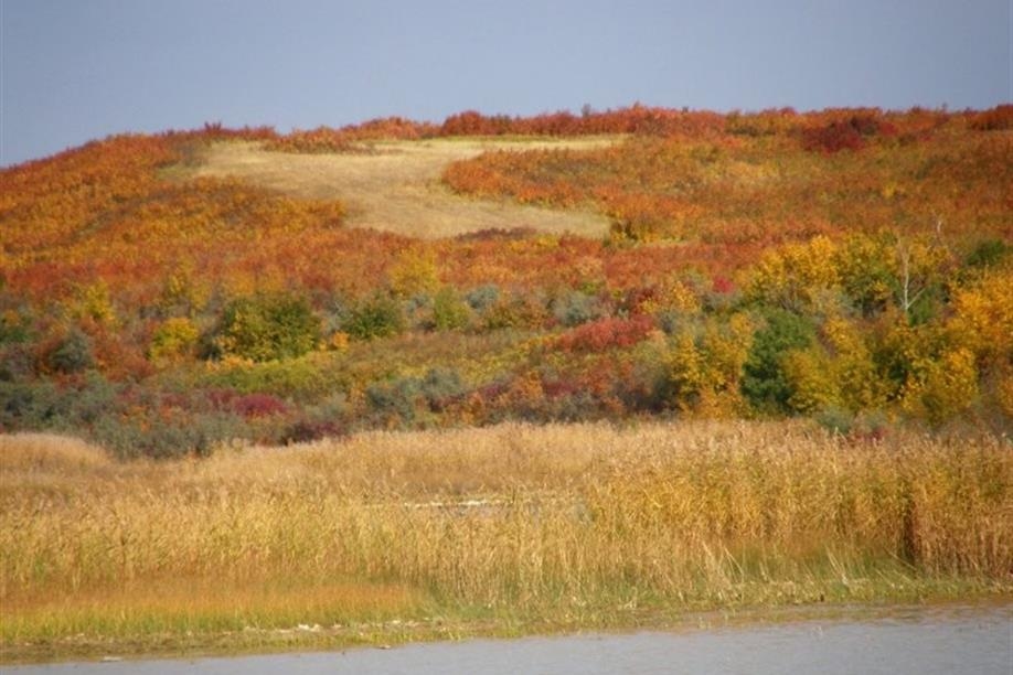 Redberry Lake Regional Park - Image: Kathy Rosenkranz