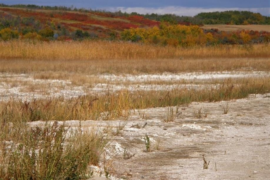 Redberry Lake Regional Park - Image: Kathy Rosenkranz
