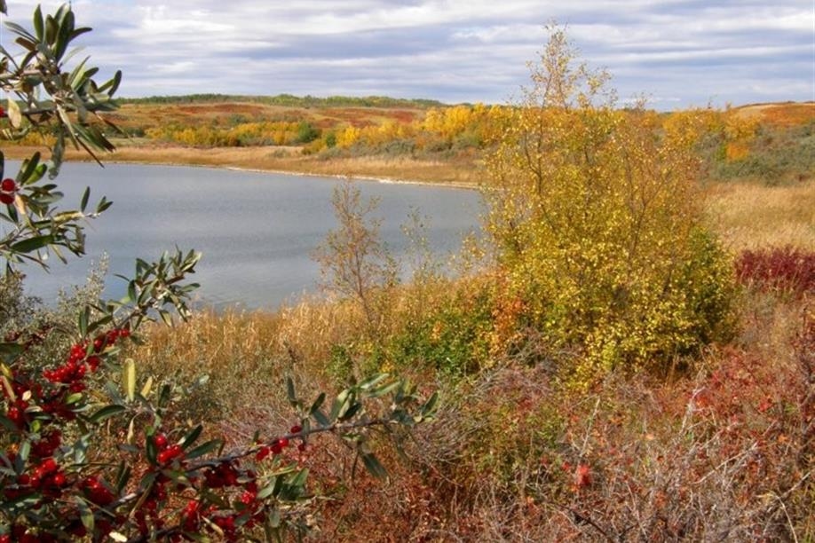 Redberry Lake Regional Park - Image: Kathy Rosenkranz
