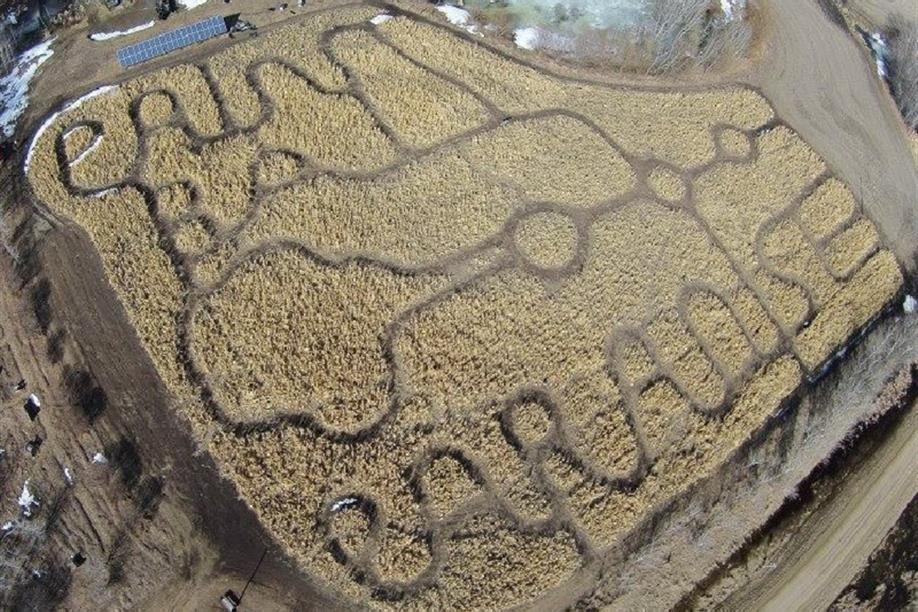 Paintball Paradise PA and Haunted House