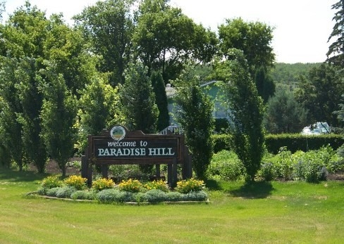 Paradise Hill