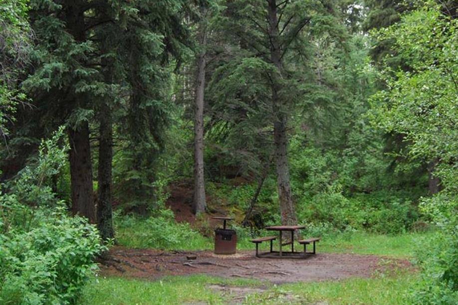 Pine Cree Regional Park