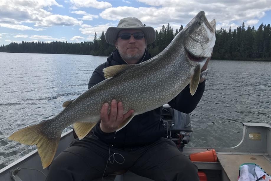 Pine Point Lodge & Outpost - Lake trout at its finest