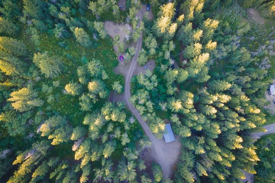 Pine Cree Regional Park