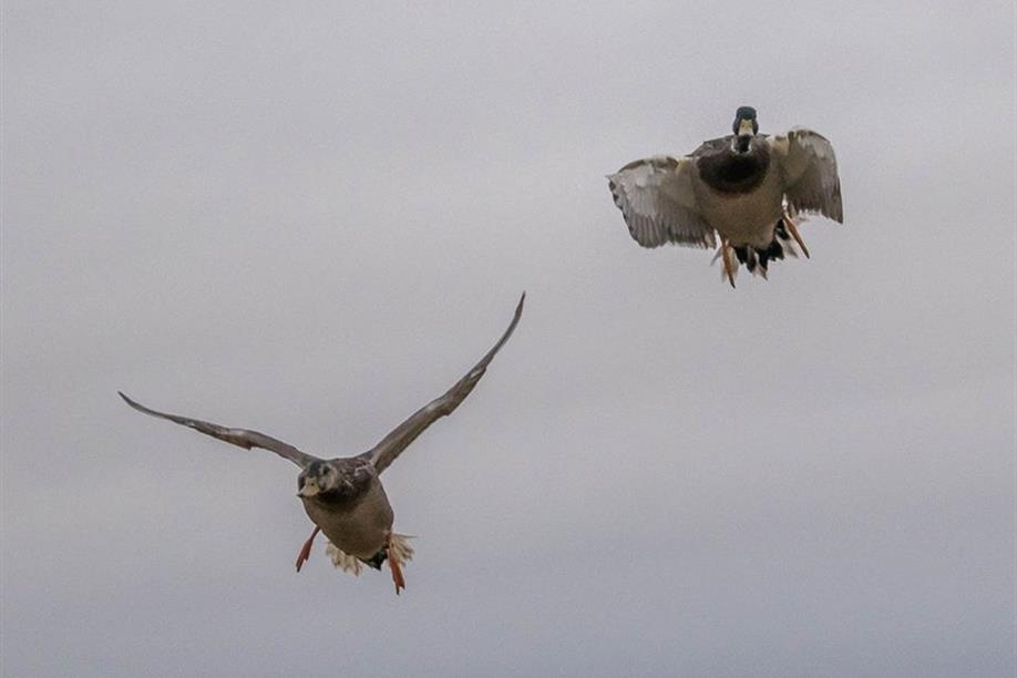 Prairie Rose Outfitters Inc.