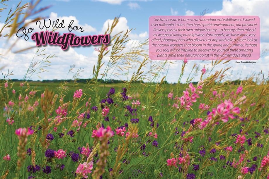 Prairies North Magazine