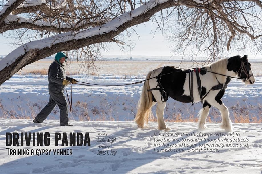 Prairies North Magazine