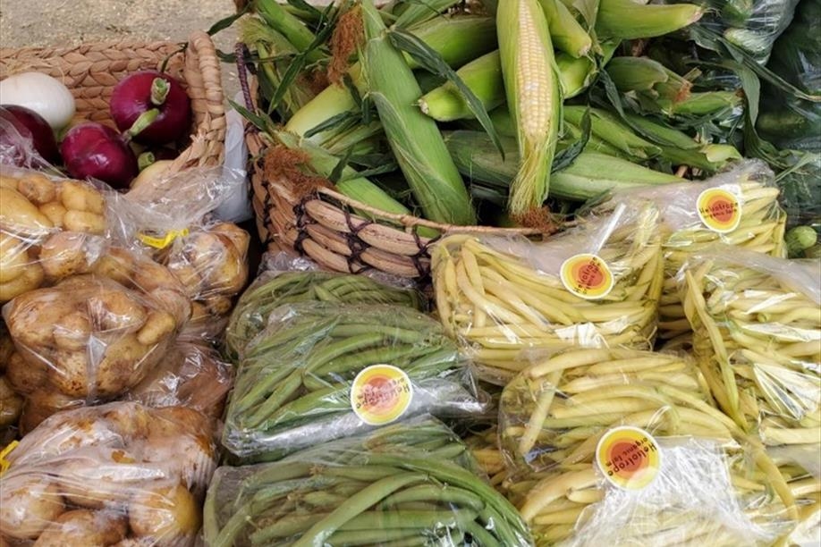 Regina Beach Farmers' Market
