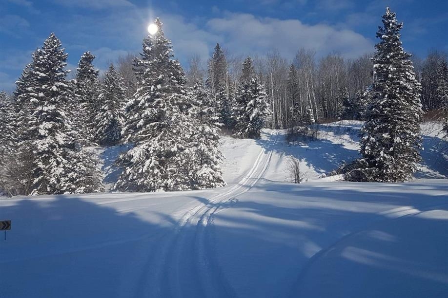 Rough Riders Snowmobile Club Trails - Winter wonderland