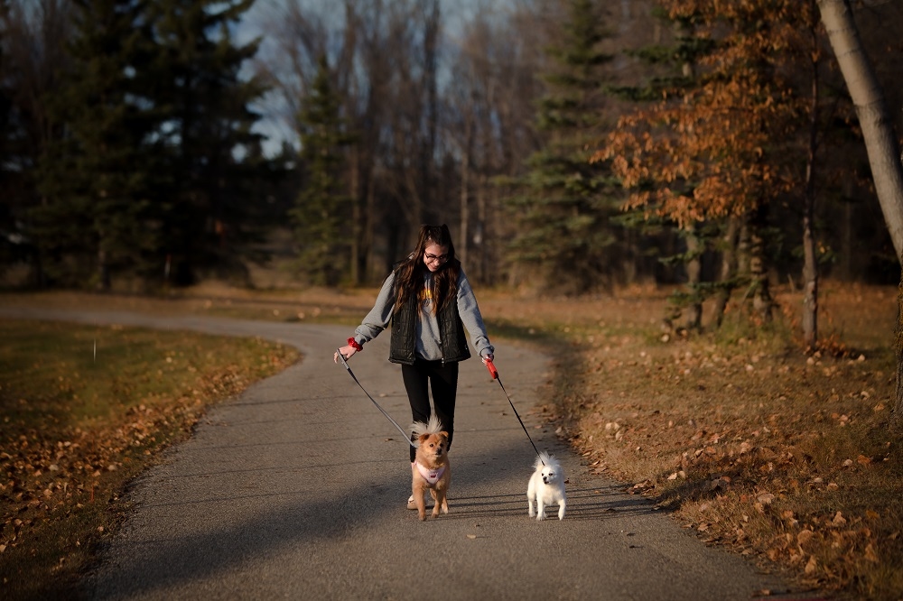 Rotary Trail, Prince Albert