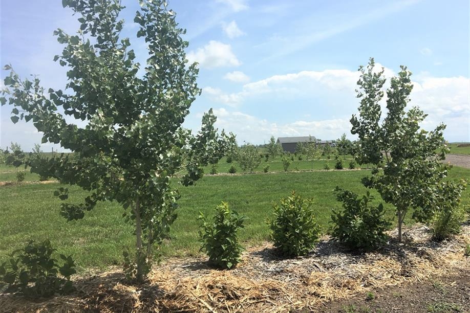 Rowan's Ridge Seasonal RV Park