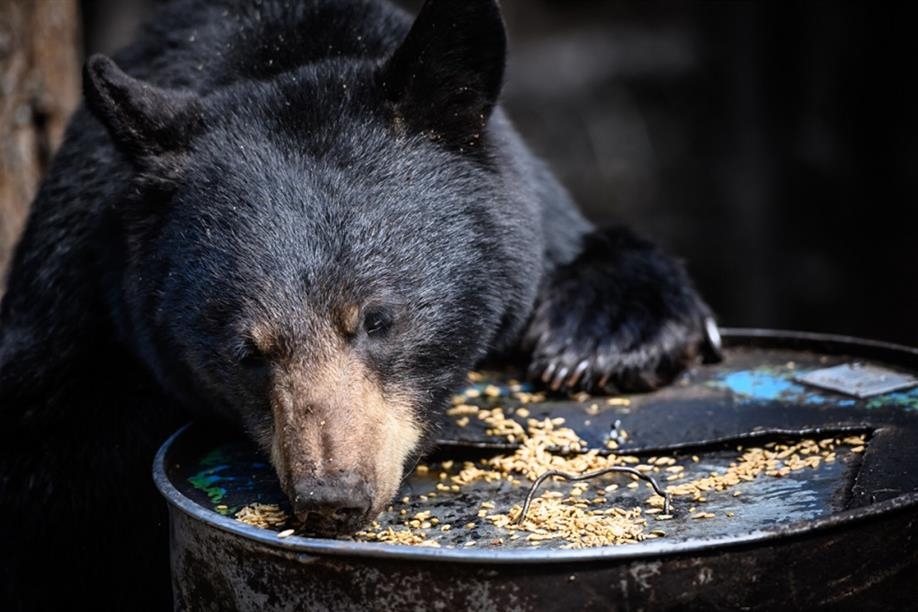 Safari River Lakeside